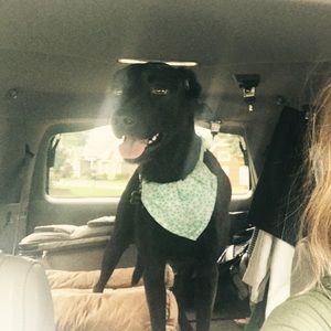 Meet your Posher, Rachel